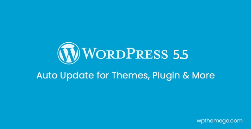 WordPress 5.5 - Auto Update for Themes, Plugins and More