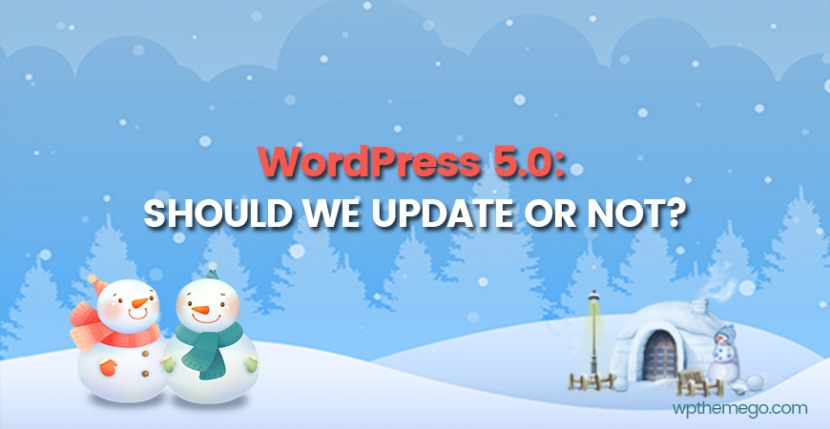 Should you update to WordPress 5.0?
