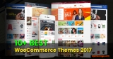 10 Best WooCommerce Themes - Best-Selling WordPress Themes 2017